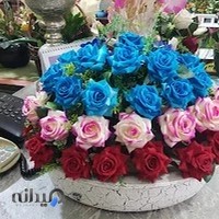 گلفروشی ارکیده