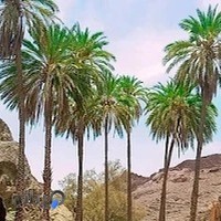 اقامتگاه بومگردی تلاربن