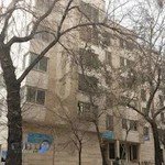 فیزیوتراپی اریکه پرسپولیس