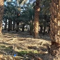 نمایشگاه مبل دقت