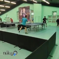 باشگاه پینگ پنگ سبز