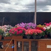 داروخانه شبانه روزی دکتر جعفری