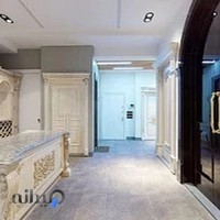 درب ضد سرقت نیک افرا