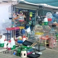 پخش قفس و لوازم پرندگان سام برد