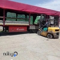 ترخیص کار گمرک