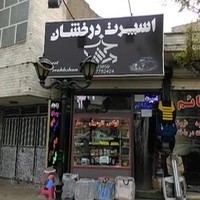 اسپرت اتومبیل درخشان