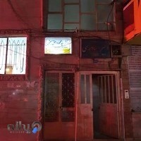 دكتر سيد محمود اسحق حسينى