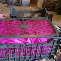 شرکت ترانزیتی و باربری مزمل مرزی لیمیتد