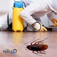 سمپاشی حشرات سرزمین سبز