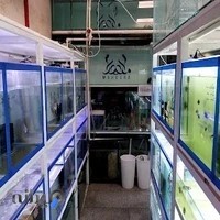 خانه اکواریوم ماهورا