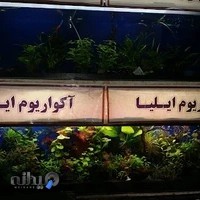 اکواریوم ایلیا