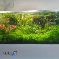 آکواریوم آران