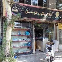 الکتریکی توسل