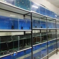 فروشگاه ماهی و لوازم اکواریومی راز دریا