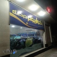آکواریوم دردانه