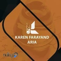 کارن فرایند آریا