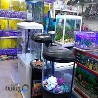 آکواریوم مروارید