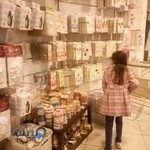 مدبر قاجار ۲