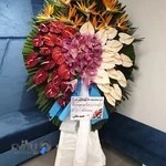 دندانپزشکی دکتر نوروزعلی (کلینیک فرسیا)