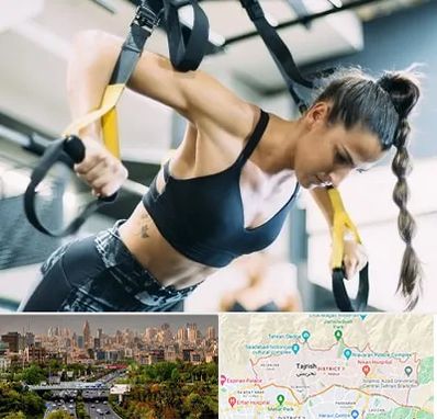 باشگاه تی آر ایکس در منطقه 1 تهران