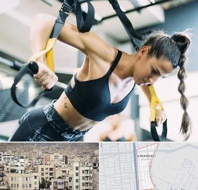 باشگاه تی آر ایکس در اسکندری