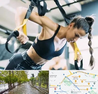 باشگاه تی آر ایکس در خیابان ارم شیراز