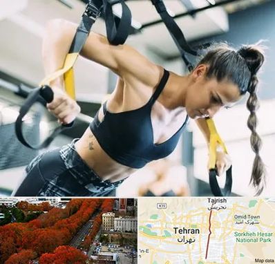 باشگاه تی آر ایکس در ولیعصر