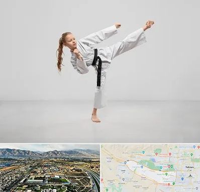 باشگاه کاراته بانوان در منطقه 21 تهران 