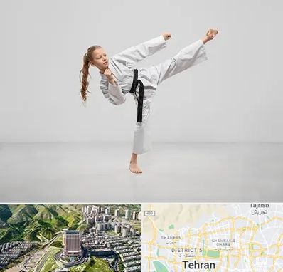 باشگاه کاراته بانوان در شمال تهران 