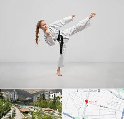 باشگاه کاراته بانوان در بلوار تعاون