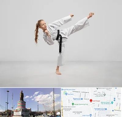 باشگاه کاراته بانوان در کارگر جنوبی 