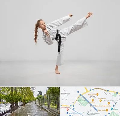 باشگاه کاراته بانوان در خیابان ارم شیراز