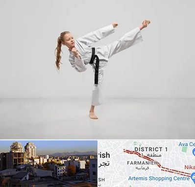 باشگاه کاراته بانوان در فرمانیه 