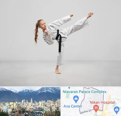 باشگاه کاراته بانوان در آجودانیه 