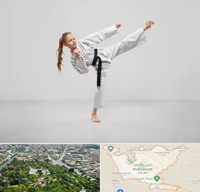 باشگاه کاراته بانوان در شهرکرد