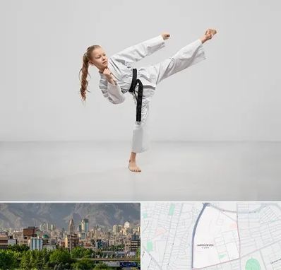 باشگاه کاراته بانوان در جمشیدیه