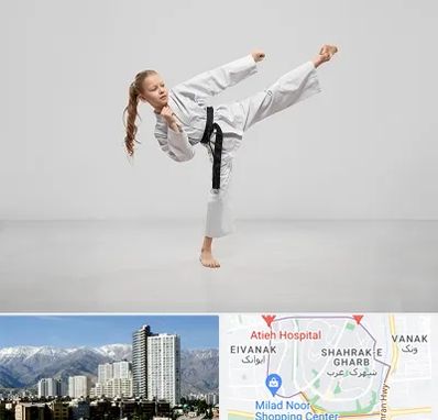 باشگاه کاراته بانوان در شهرک غرب 