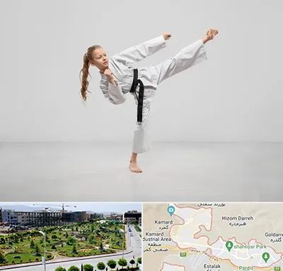 باشگاه کاراته بانوان در پردیس