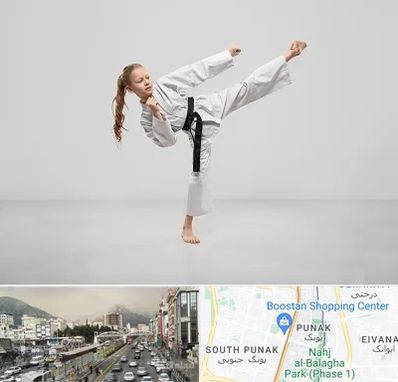 باشگاه کاراته بانوان در پونک 