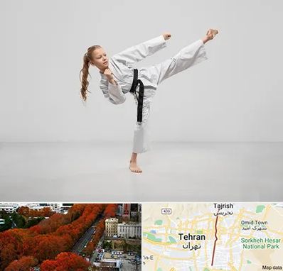 باشگاه کاراته بانوان در ولیعصر 