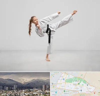 باشگاه کاراته بانوان در منطقه 4 تهران 