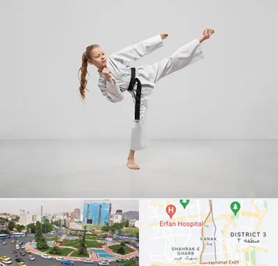 باشگاه کاراته بانوان در ونک 