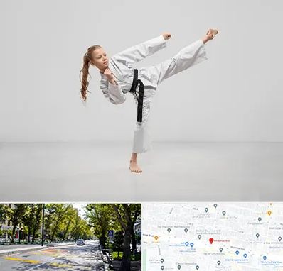 باشگاه کاراته بانوان در میرداماد 