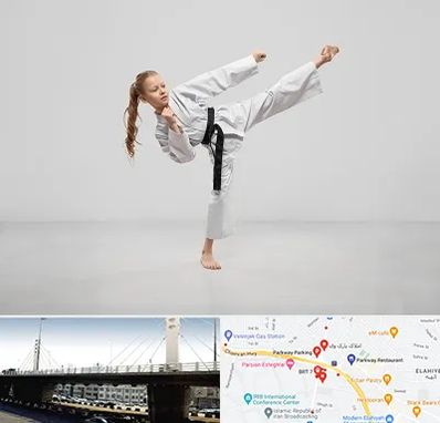 باشگاه کاراته بانوان در پارک وی 