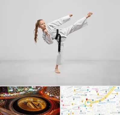 باشگاه کاراته بانوان در میدان ولیعصر 