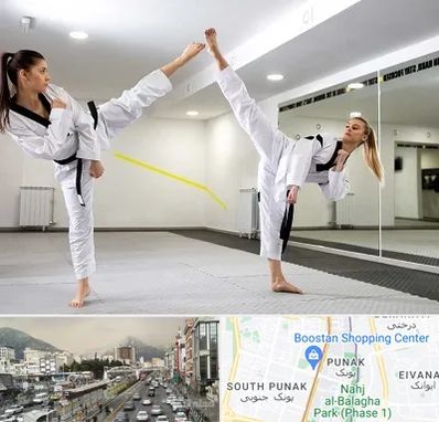 باشگاه دفاع شخصی بانوان در پونک 