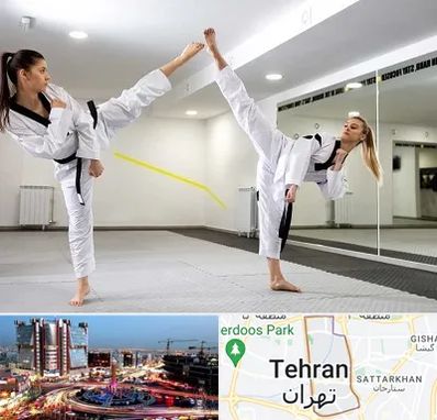 باشگاه دفاع شخصی بانوان در صادقیه 