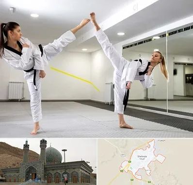 باشگاه دفاع شخصی بانوان در شهرضا