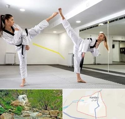 باشگاه دفاع شخصی بانوان در کردان