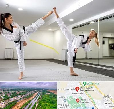 باشگاه دفاع شخصی بانوان در قصرالدشت شیراز